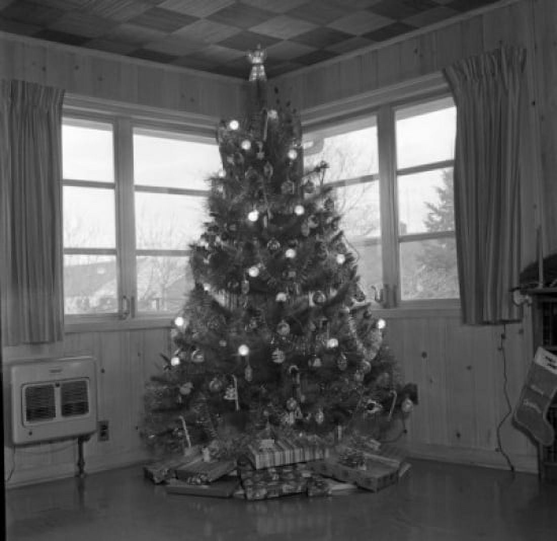 Christmas tree in the corner of living room Canvas Art -  (24 x 36)