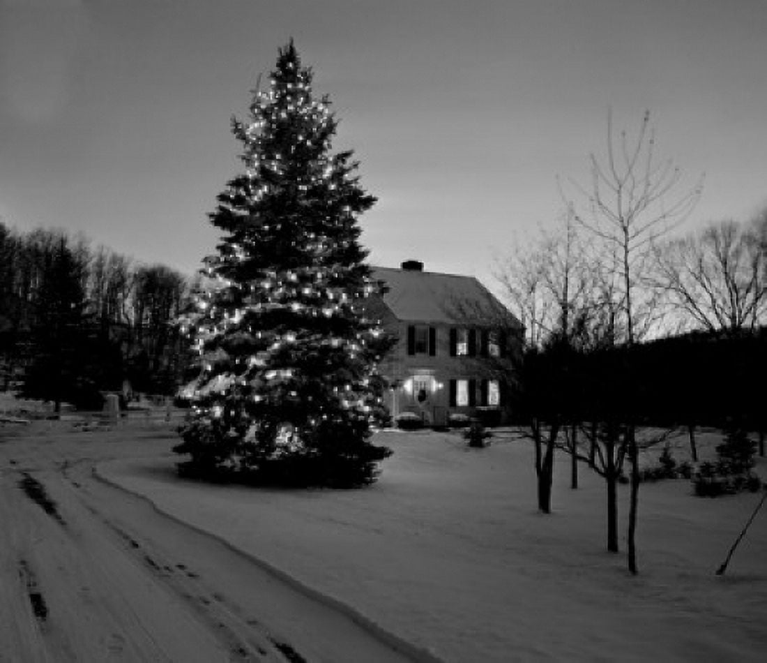Christmas tree in winter landscape Canvas Art - (18 x 24)
