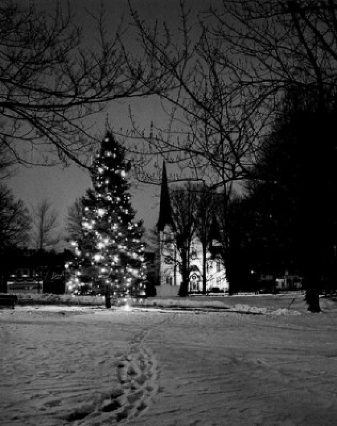 Christmas tree in winter landscape Canvas Art - (24 x 36)