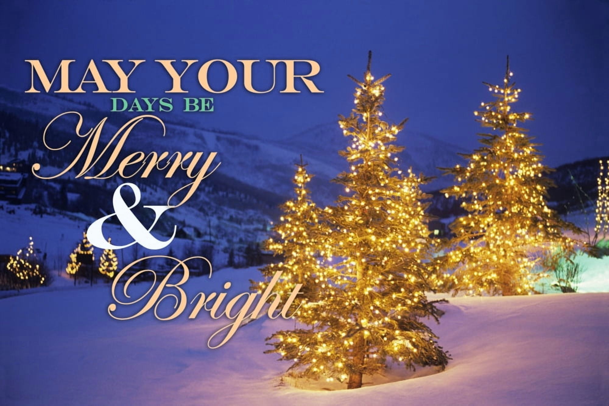 Christmas trees Park City Wastch Mountains Utah Canvas Art - James Kay Danita Delimont (36 x 24)