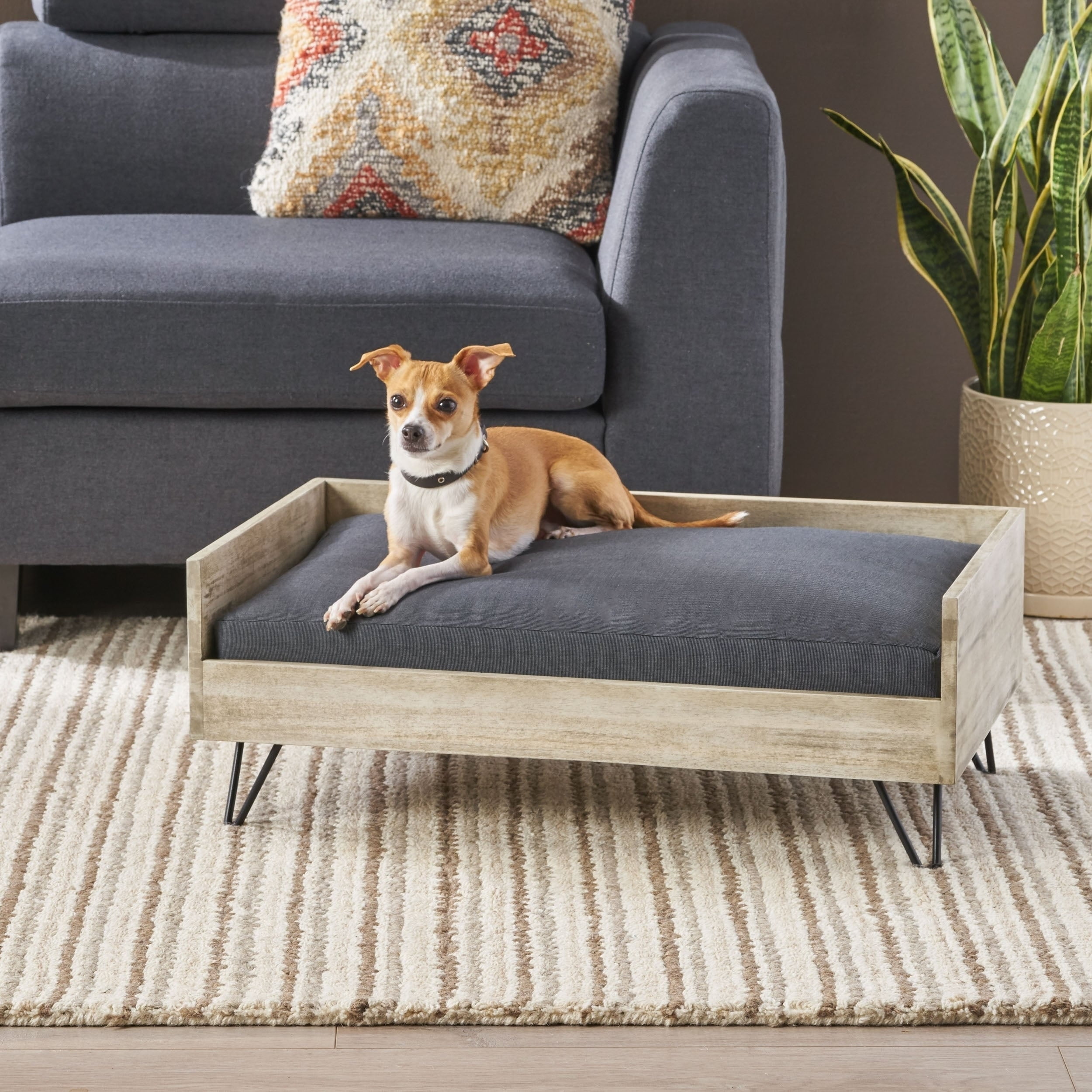 Bonneville Mid-Century Modern Acacia Wood Pet Bed, Light Gray Wash