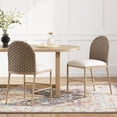 thumbnail image 1 of Christopher Knight Home Farmhouse Dining Chairs, Upholstered Seat with Rattan Backrest, Iron Frame, Brown+Beige, Set of 2, 1 of 10