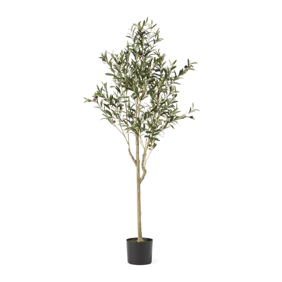 Christopher Knight Home Taos 4' x 1.5' Artificial Olive Tree by  5' x 2'