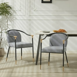 Christopher Knight Home Hayden Modern Tufted Fabric Dining Chairs