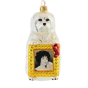 Christopher Radko Company 4.75In Sugar Holiday, Glass, Ornament Charity Aids 98Sp29