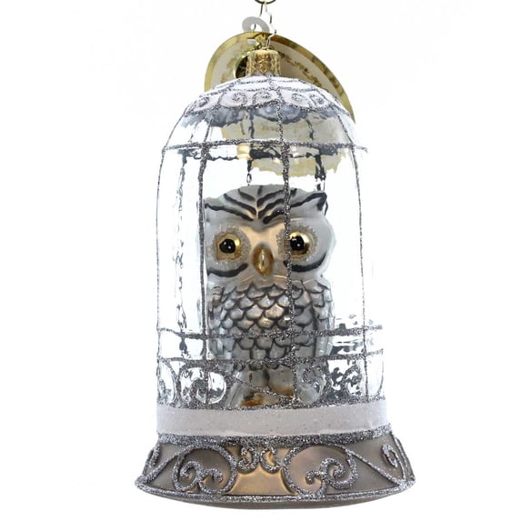 Christopher Radko Wisdom On Display Glass Ornament Owl Limited Edition 1017271