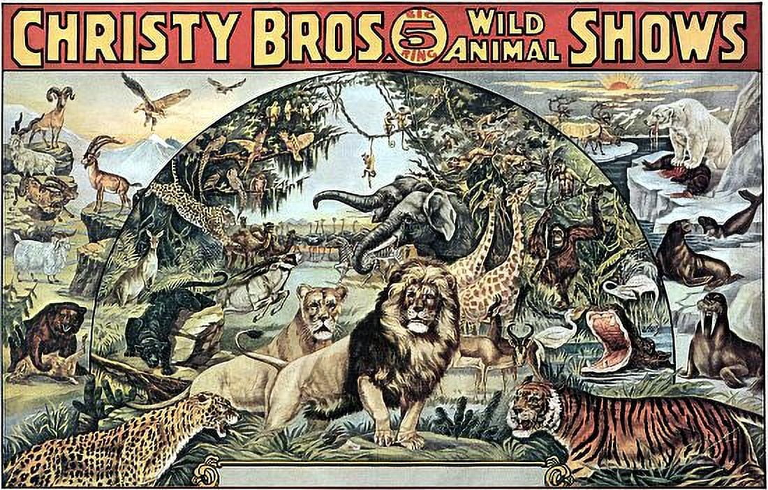 Christy Bros Big 5 Ring Wild Animal Shows Circus Canvas Art - (36 x 54)