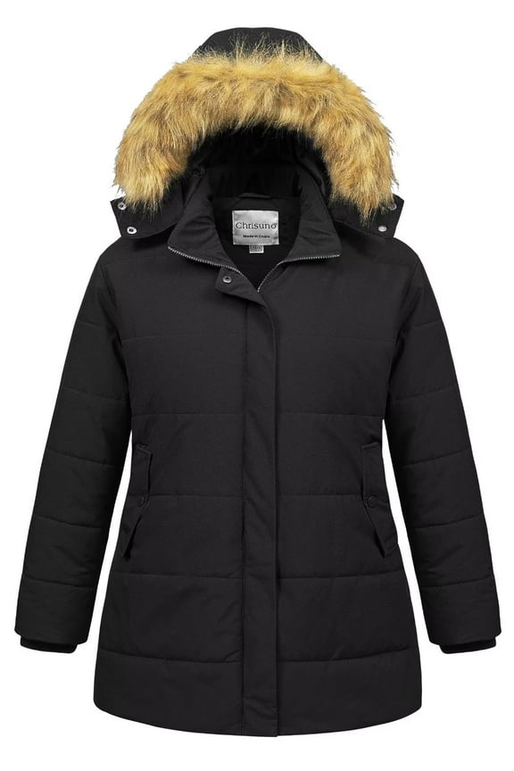 Women's Winter Plus Size Womens Puffer Coat Fleece Lined Parka Jacket with Detachable Hood Black 1X
