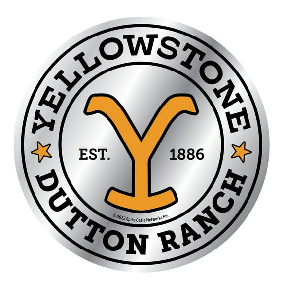 Vinyl Decal Installation Kit