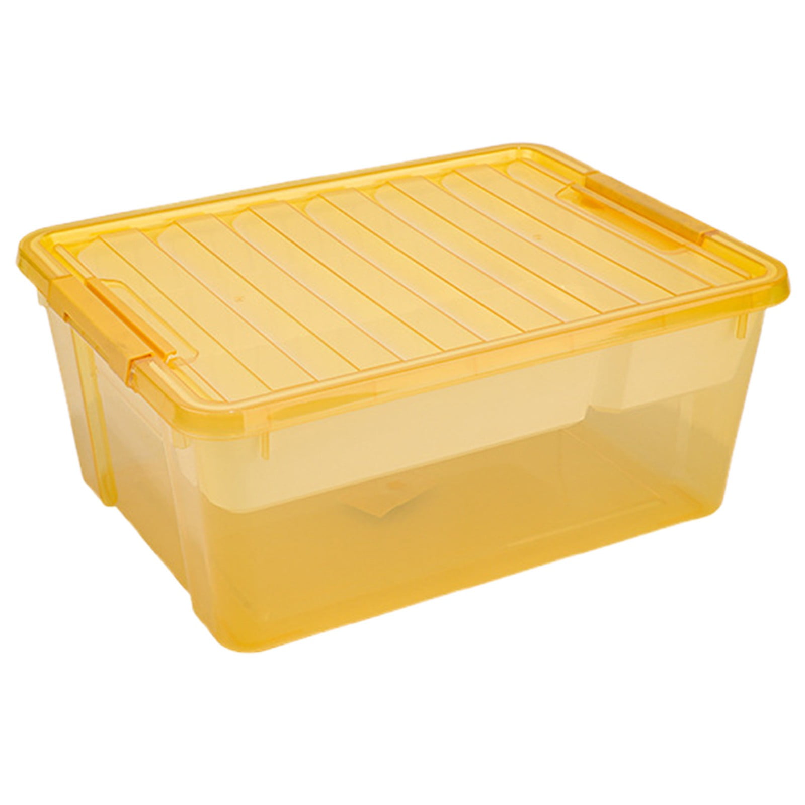 Chromalune Plastic Storage Box with Removable 4 Compartments Tray ...