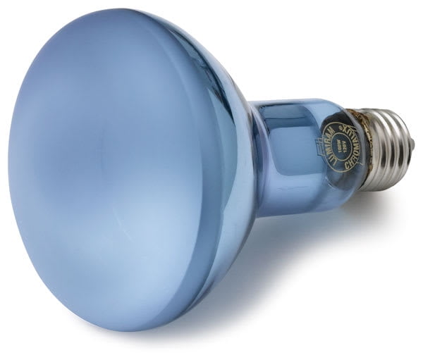 Chromalux Full Spectrum Incandescent Reflector Light Bulb - 100W