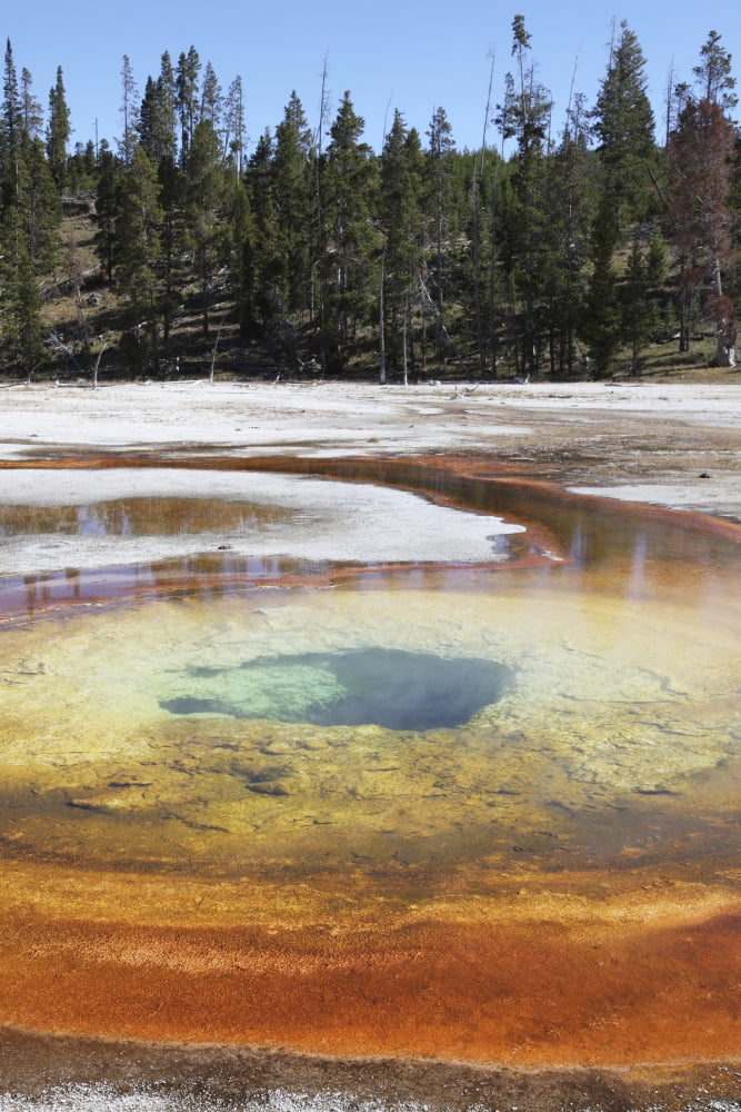 Chromatic Pool Hot Spring Upper Geyser Basin geothermal area Yellowstone National Park Wyoming Canvas Art - Richard RoscoeStocktrek Images (12 x 18)
