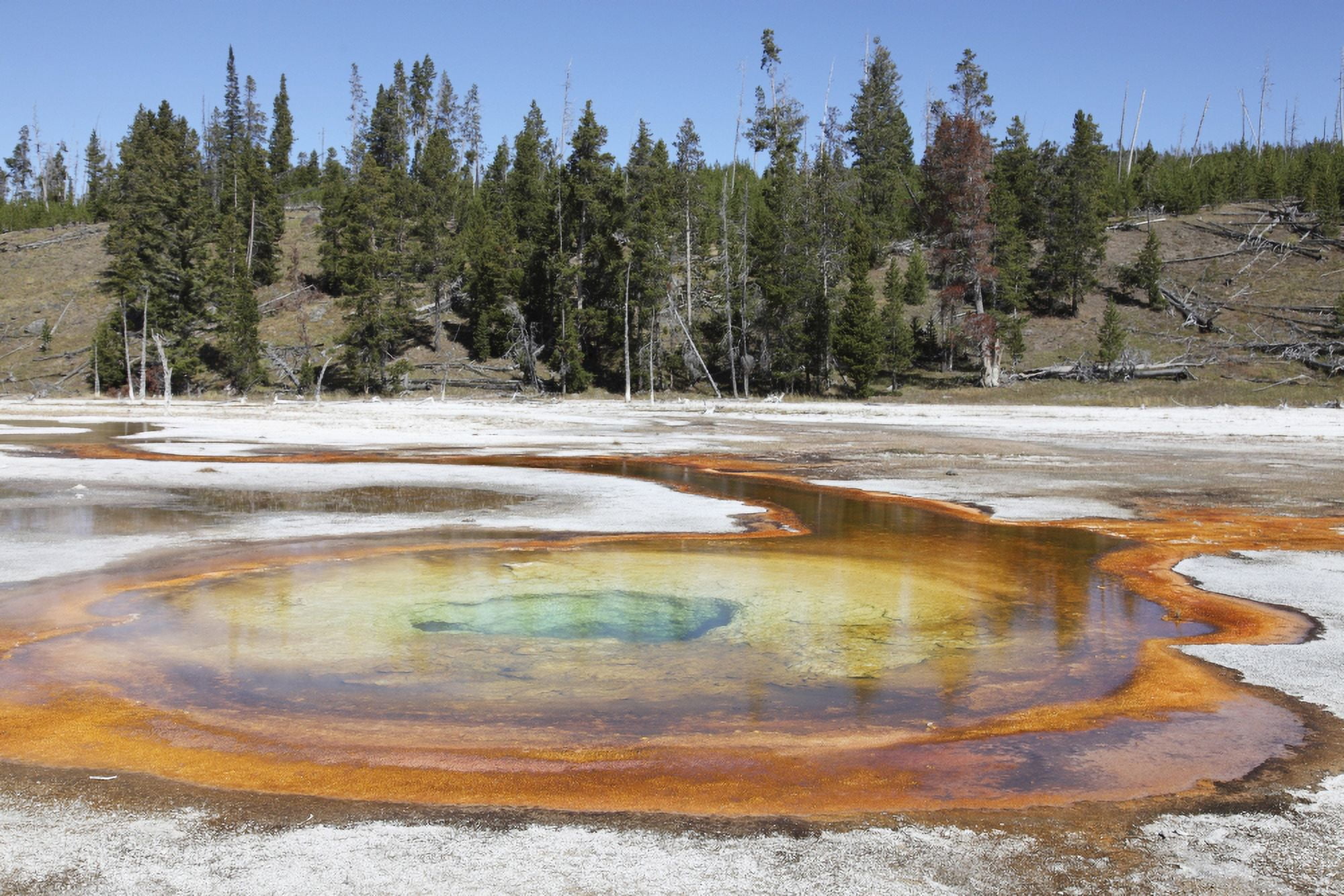 Chromatic Pool Hot Spring Upper Geyser Basin geothermal area Yellowstone National Park Wyoming Canvas Art - Richard RoscoeStocktrek Images (35 x 23)