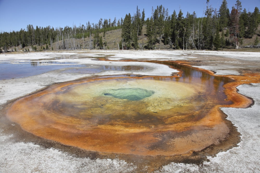 Chromatic Pool Hot Spring Upper Geyser Basin geothermal area Yellowstone National Park Wyoming Canvas Art - Richard RoscoeStocktrek Images (35 x 23)