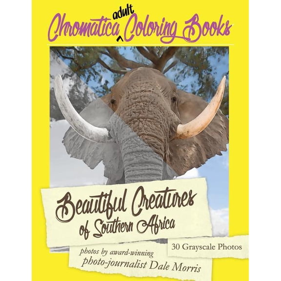 Chromatica Coloring Books: Beautiful Creatures of Southern Africa : An Adult Coloring Book featuring the most beautiful creatures that reside in Southern Africa (Series #2) (Paperback)