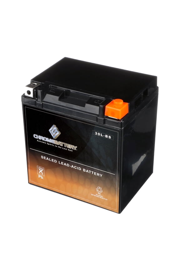 Ytx30L-Bs Motorcycle Battery for Harley-Davidson Fl Flh (Touring) 1340Cc 97-'98