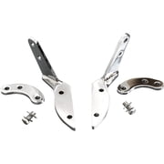 Chrome Highway Peg Mounts