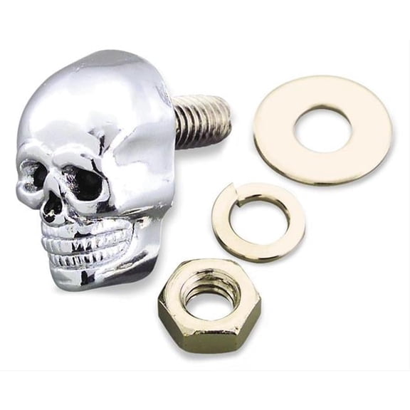 Chrome Skull Kromets