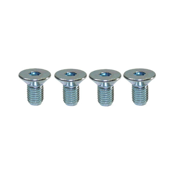 Chrome Steel Water Pump Pulley Bolt Set for Chevy V8