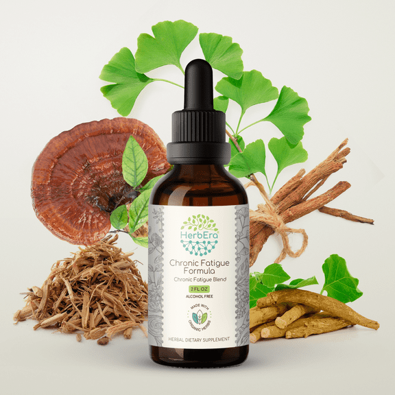 HerbEra Chronic Fatigue Formula Extract, Dietary Supplement Herbal Formula, Made from Siberian Ginseng Root, Ashwagandha Root, Licorice Root, Ginkgo Biloba Leaf, Reishi Mushroom 2 oz