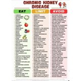 Chronic Kidney Disease Diet Fridge Magnet Low Sodium Phosphorus Food ...
