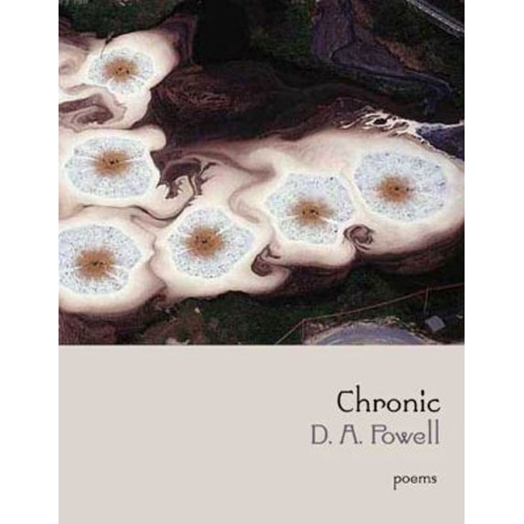 Pre-Owned Chronic (Hardcover) 155597516X 9781555975166