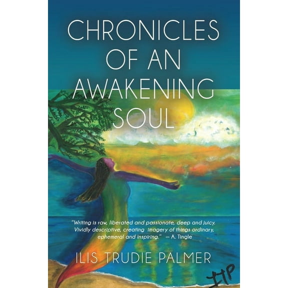 Chronicles of an Awakening Soul, (Paperback)