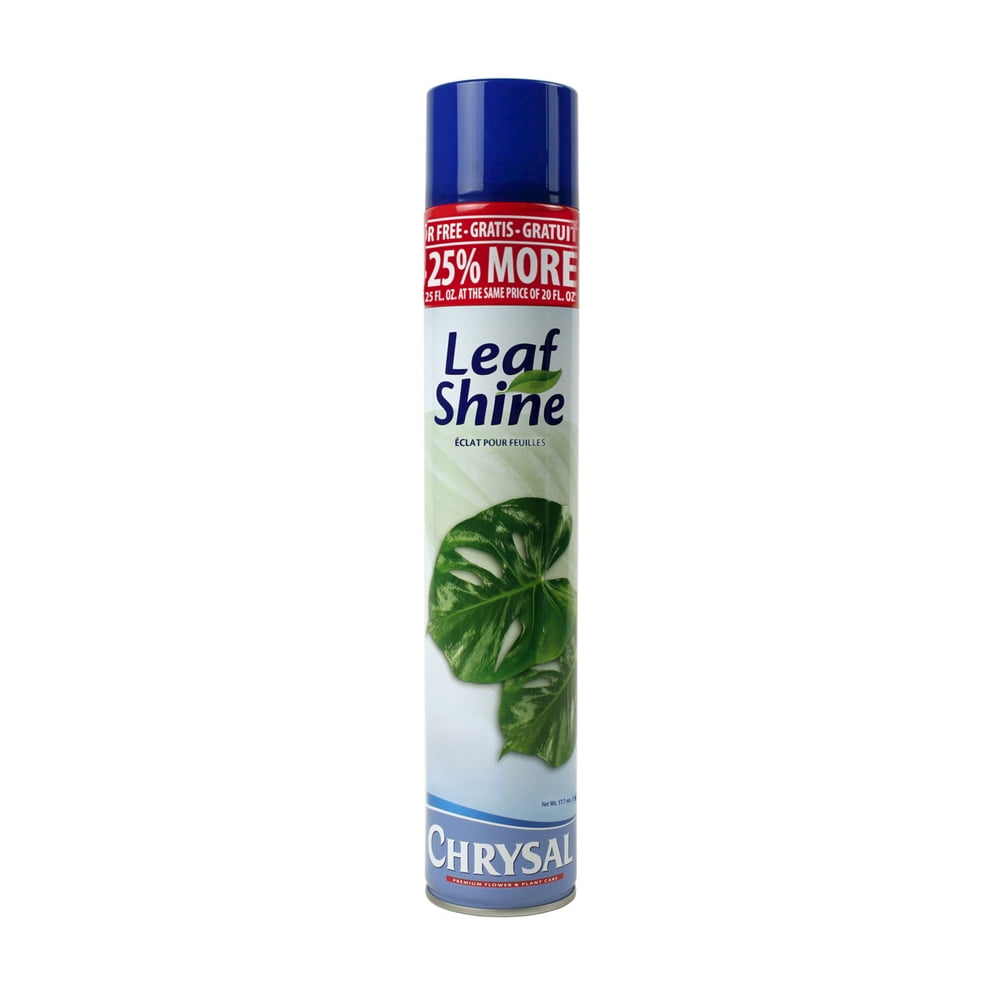 Chrysal Leaf Shine Spray for Indoor Plants 12 Pack 25 oz