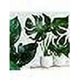 thumbnail image 1 of Chrysal Leafshine Aerosol Spray 25 Ounces Bundled by Evergreen Farm and Garden (6 Pack), 1 of 6
