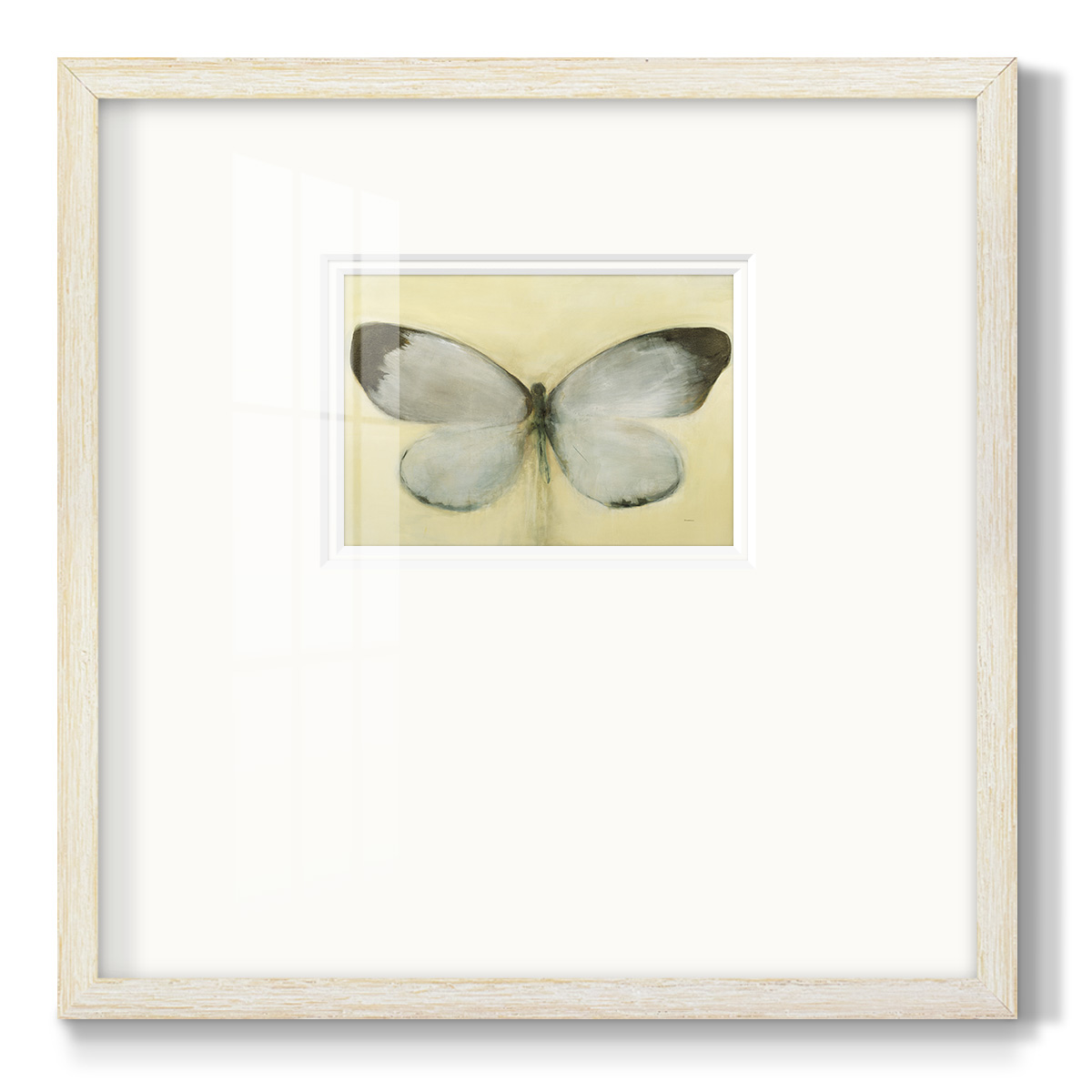 Chrysalis-Premium Framed Print