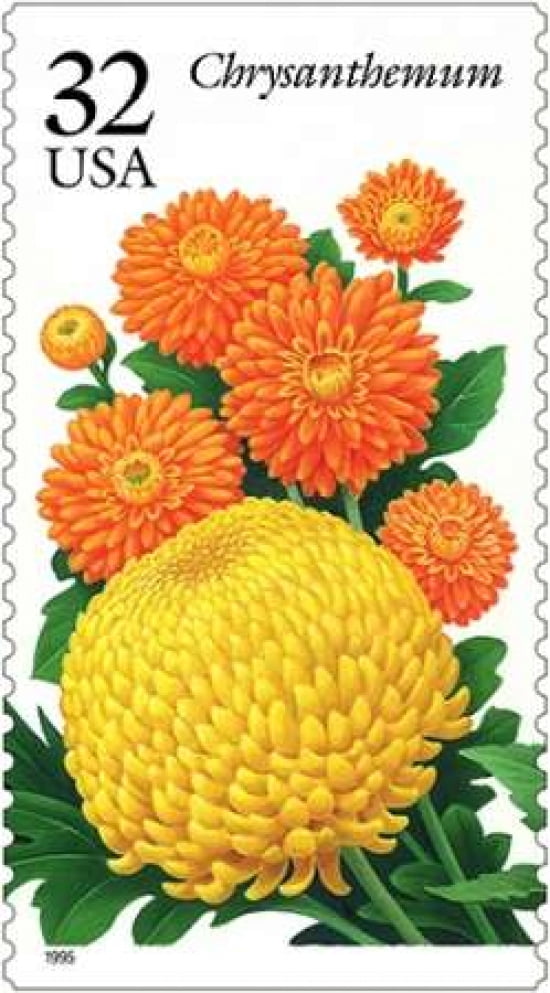 Chrysanthemum 32 Canvas Art - US POSTAL SERVICE (12 x 18)