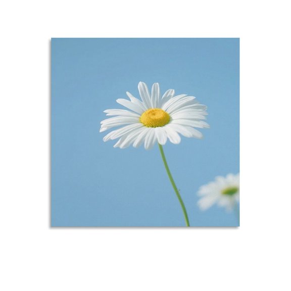 Chrysanthemum Art Poster (20) Canvas Art Poster and Wall Art Picture Print Modern Family bedroom Decor Posters 28x28inch(70x70cm)