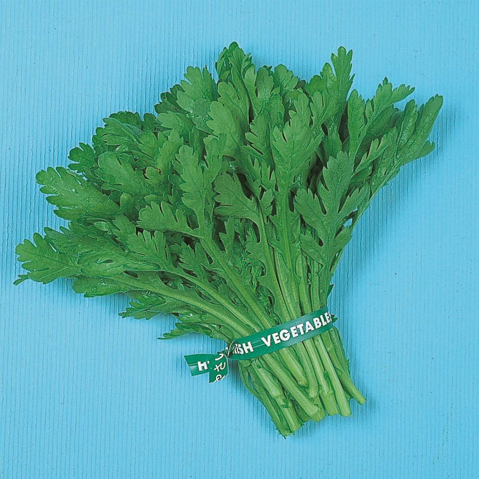 Chrysanthemum Greens Seeds - Garland Round Leaf - 1 Lb ~134400 Seeds - Non-GMO, Heirloom - Asian Edible Flower & Microgreens