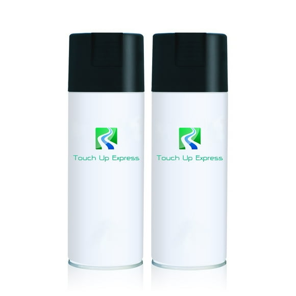 Chrysler PT Cruiser PPK Magnesium Pearl 12oz Aerosol Spray Kit Touch Up