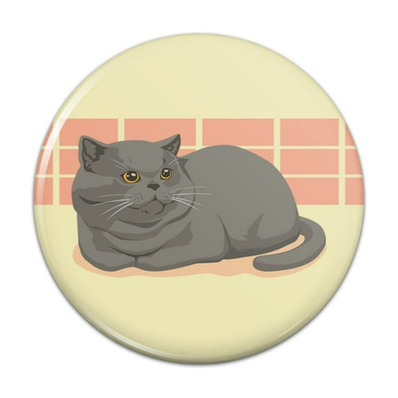 Chubby British Short Hair Grey Cat Kitchen Refrigerator Locker Button Magnet