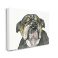 thumbnail image 1 of Stupell Industries Chubby Bulldog Portrait Old Dog Charm Black Brown Canvas Wall Art, 24 x 30, Design by George Dyachenko, 1 of 6