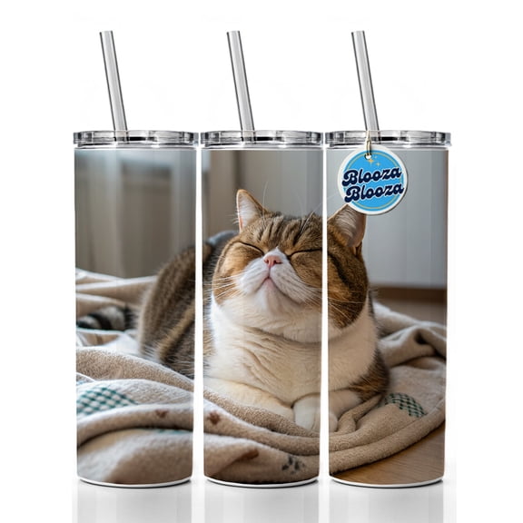 Chubby Cat Lying Down Cute 20oz Insulated Water Bottle Skinny Tumbler Includes Straw