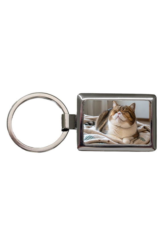 Chubby Cat Lying Down Cute Metal Rectangle Keychain