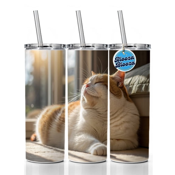 Chubby Cat Lying Down Photo 20oz Insulated Water Bottle Skinny Tumbler Includes Straw