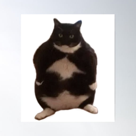 Chubby Cat Poster Wall Art, Modern Wall Decor For Living Room Bedroom, 8x12 UNFRAMED