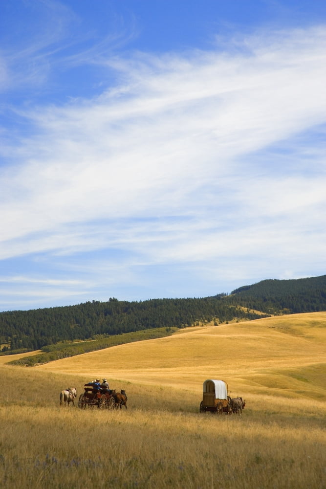 Chuck Wagons Crossing The Prairies Canvas Art - Carson Ganci Design Pics (22 x 34)