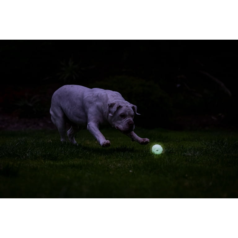 Chuckit! Air Glow in the Dark Fetch Hard Breathe Easy Dog Ball