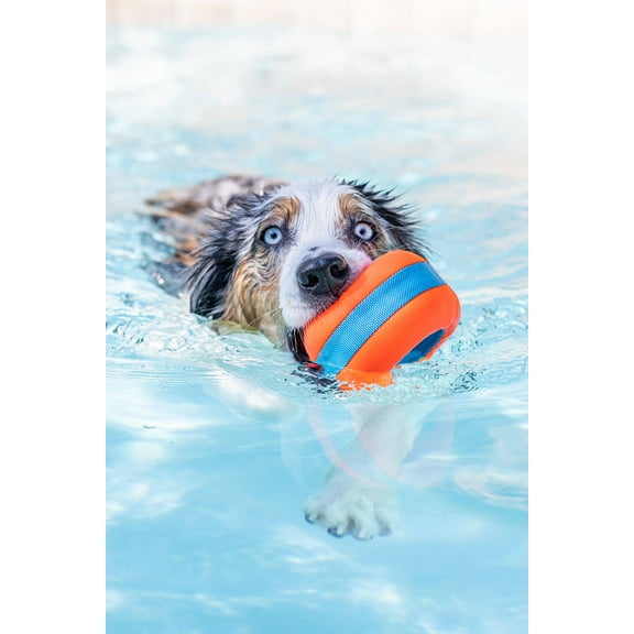Chuckit! Amphibious Roller EVA Foam Fetch Dog Toy, for Medium to Large Dogs, Orange, Pack of 1