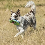 Chuckit! Amphibious Zipflight Polyester Flying Disc Fetch Dog Toy, Small 6", Pack of 1, Assorted