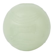 Chuckit! Max Glow Rubber Dog Ball Fetch Toy For Dogs, Medium 2.5" for Pets 20-60 lb, Pack of 1, Glow in the Dark