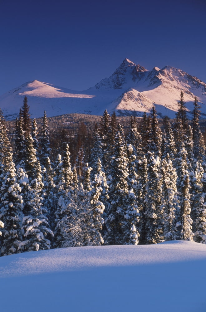 Chugach Mountains Anchorage Southcentral Alaska Winter Scenic Canvas Art - Jeff Schultz Design Pics (22 x 34)