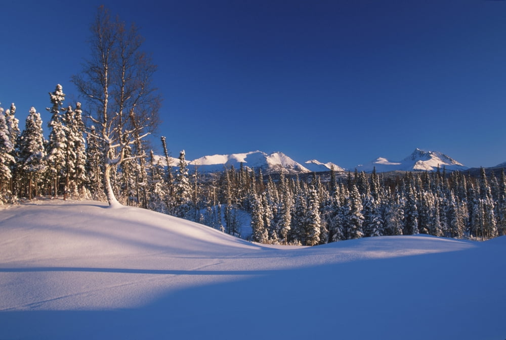 Chugach Mountains Anchorage Southcentral Alaska Winter Scenic Canvas Art - Jeff Schultz Design Pics (34 x 22)