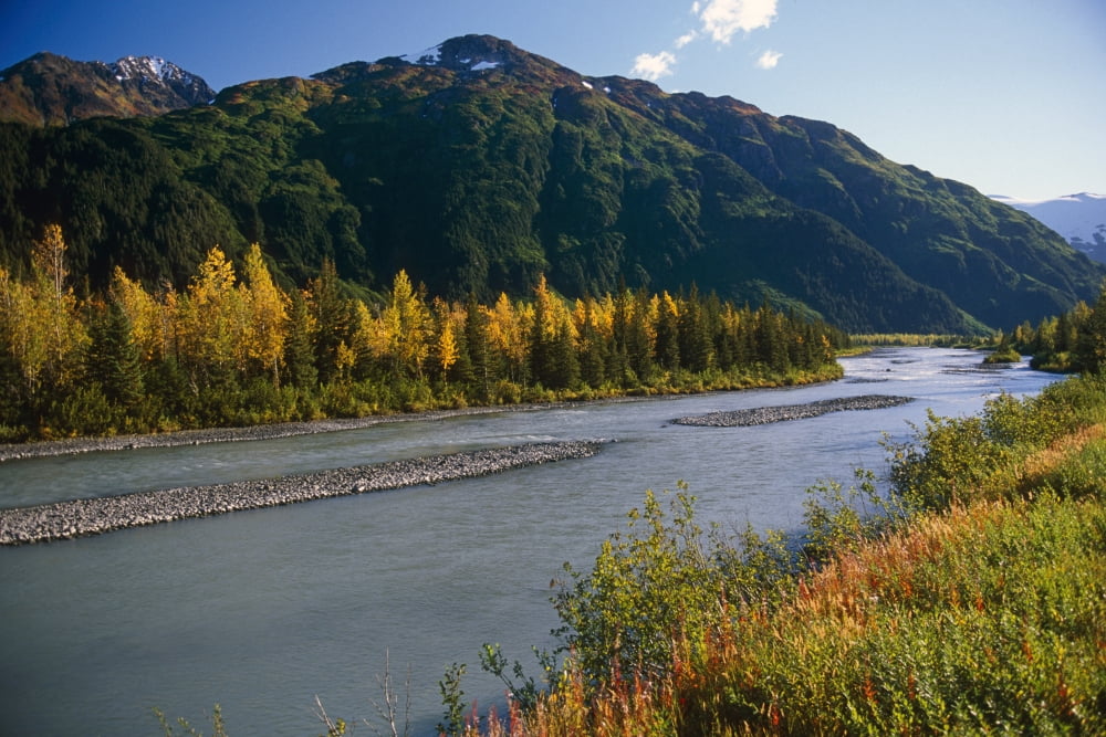 Chugach Mountains Portage Creek Fall Sc Ak Canvas Art - Jeff Schultz Design Pics (34 x 22)