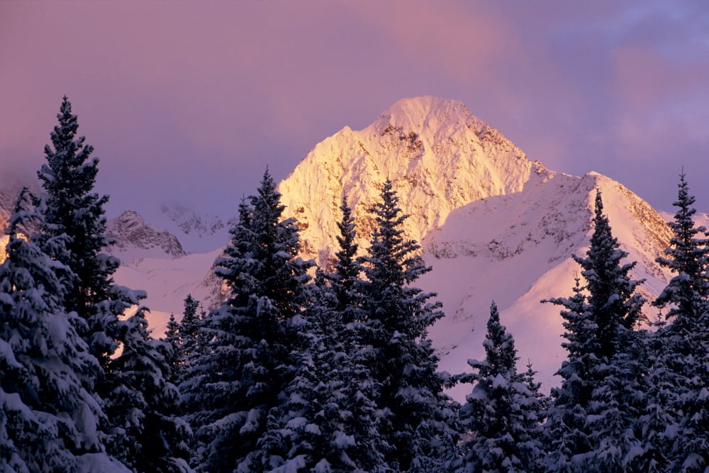 Chugach Mtns Bathed In Alpenglow Above Girdwood Ak Sc Winter Canvas Art - Daryl Pederson Design Pics (34 x 22)