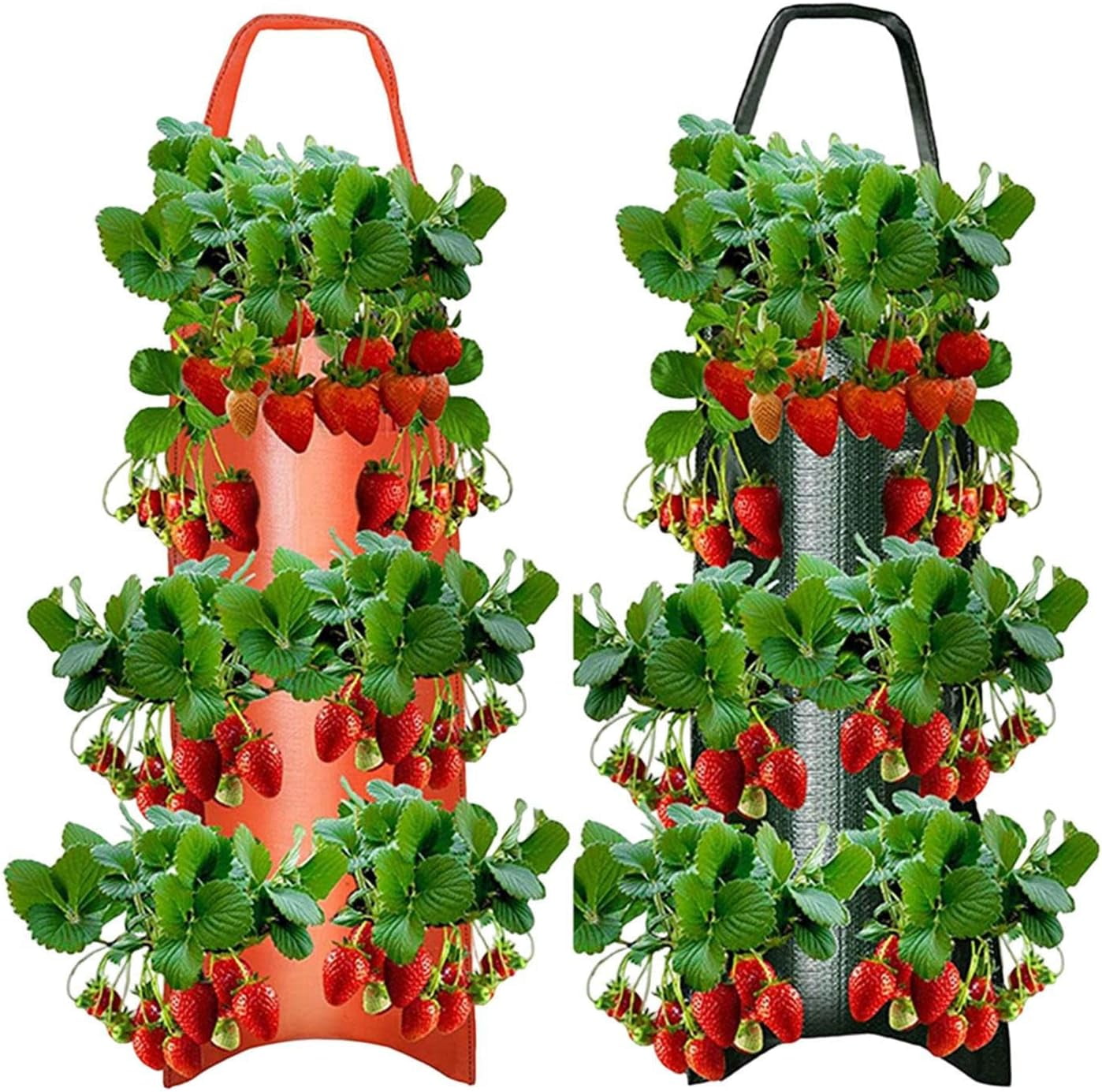 Chunhong 1/2 Pack Upside Down Tomato Planter, Garden Hanging Tomato
